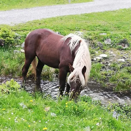 بيت ريفي Alpengasthof Gutenbrunn مالنتز