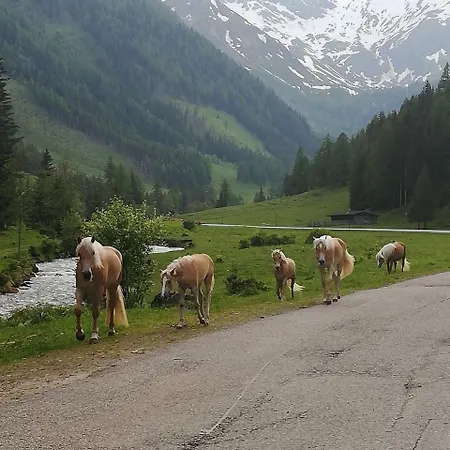 Alpengasthof Gutenbrunn بيت ريفي مالنتز