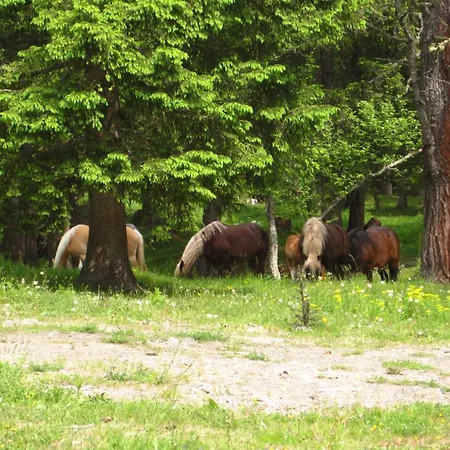 Alpengasthof Gutenbrunn