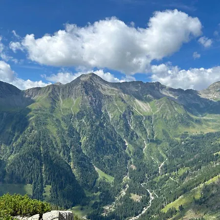 Alpengasthof Gutenbrunn Πανδοχείο *