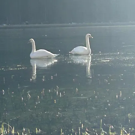 Alpengasthof Gutenbrunn *