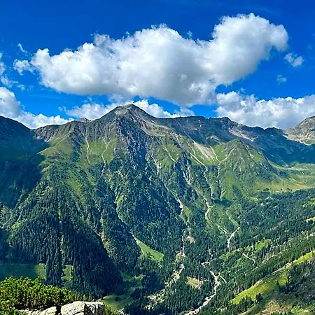 Alpengasthof Gutenbrunn 말니츠