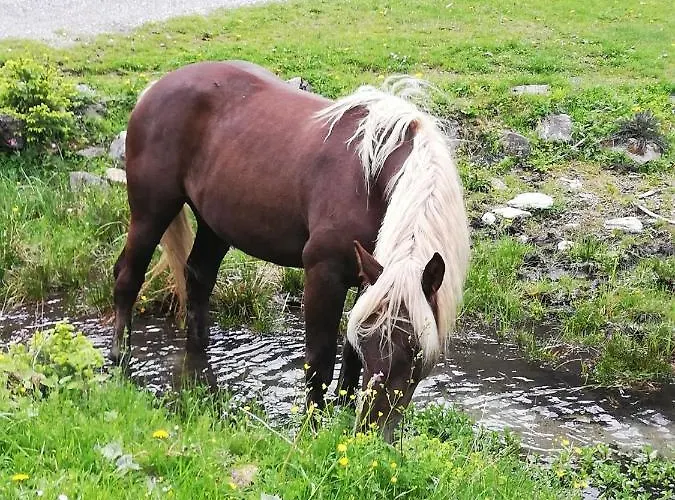 Kro Alpengasthof Gutenbrunn Mallnitz