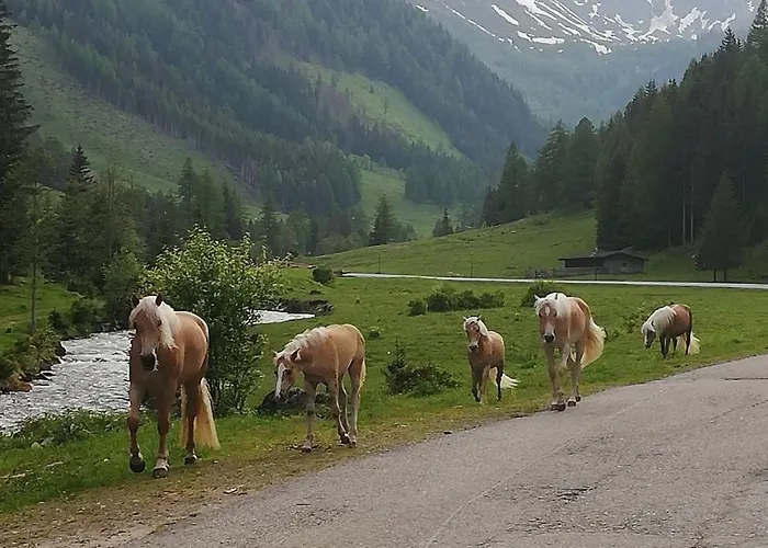 Alpengasthof Gutenbrunn Kro Mallnitz