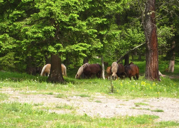 Alpengasthof Gutenbrunn