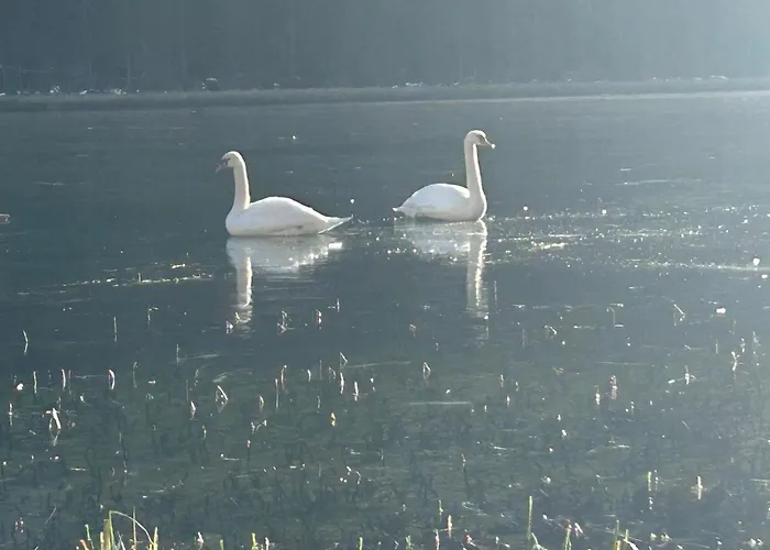 Alpengasthof Gutenbrunn *